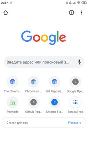 Chromium 128.0.6562.0. Скриншот 2