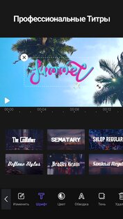 VivaCut 4.1.8. Скриншот 8