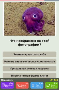 Викторина QuizzLand 3.8.010. Скриншот 15