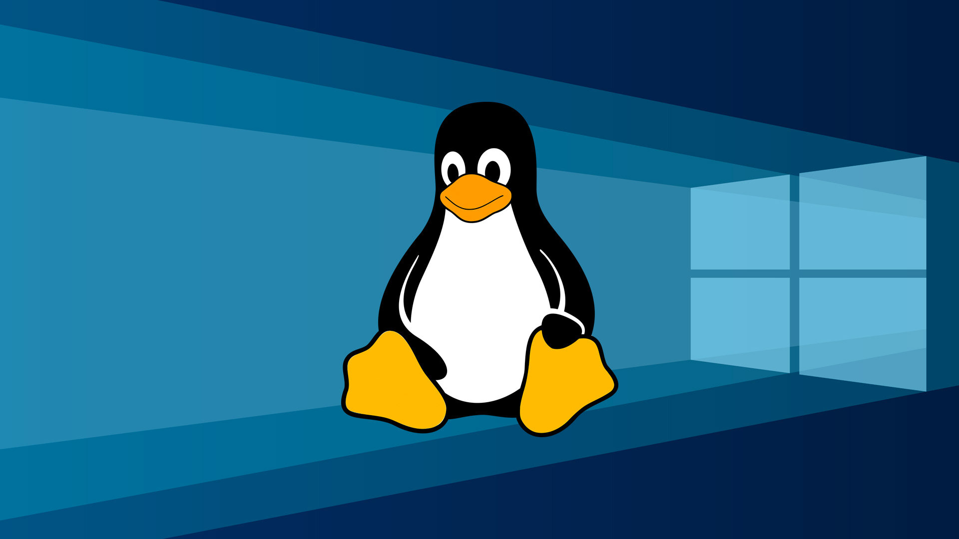 Передать файл с linux на windows