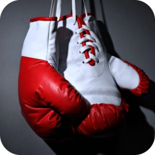boks tehnika i taktika 1.3 7 приложение для тренировок по боксу