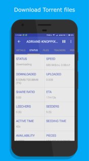 1DM Downloader Manager 18.2. Скриншот 3