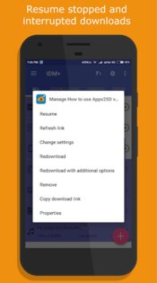 1DM Downloader Manager 17.1.1. Скриншот 5