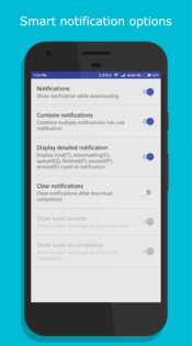 1DM Downloader Manager 18.2. Скриншот 7
