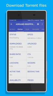 1DM Downloader Manager 18.2. Скриншот 11