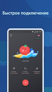 VPN Tomato 2.88.33. Скриншот 2