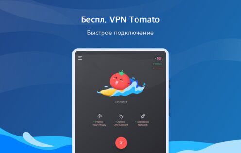 VPN Tomato 2.88.22. Скриншот 6