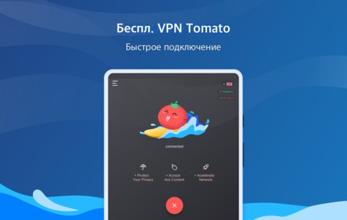 VPN Tomato 2.88.29. Скриншот 6