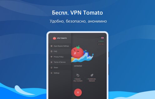 VPN Tomato 2.88.29. Скриншот 8