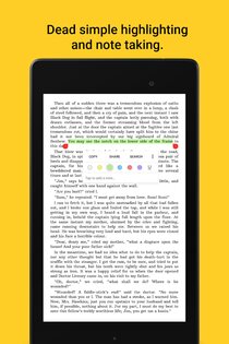 Lithium EPUB Reader 0.24.6. Скриншот 6