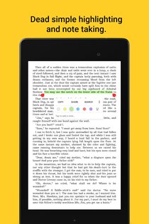 Lithium EPUB Reader 0.24.5.1. Скриншот 6