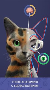 Idle Pet 7.1. Скриншот 5