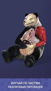 Idle Pet 7.1. Скриншот 8