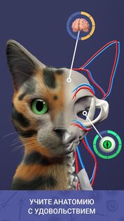 Idle Pet 7.1. Скриншот 11
