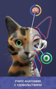 Idle Pet 7.1. Скриншот 17