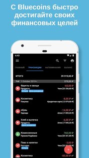 Bluecoins – финансы и бюджет 12.9.2. Скриншот 2