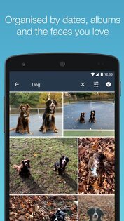 Amazon Photos 2.29.0.641.0. Скриншот 4