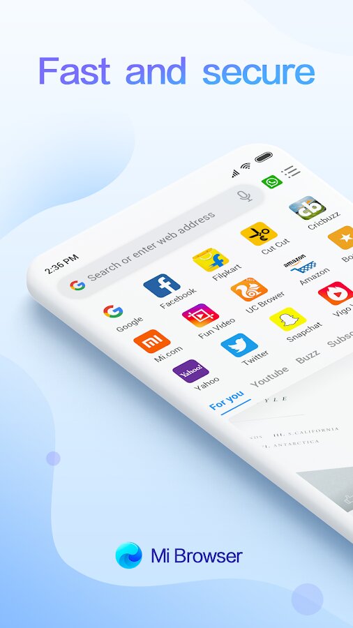 Mi Browser 12.13.2