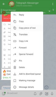 Graph Messenger (Telegraph) 11.19.1. Скриншот 8