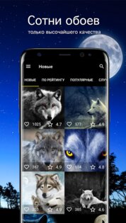 Обои с волками 7Fon 6.0.76. Скриншот 1