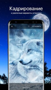 Обои с волками 7Fon 6.0.76. Скриншот 3
