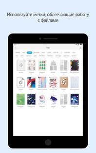 Foxit PDF Editor 2025.4.0.0415.0558. Скриншот 24
