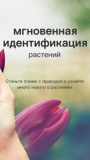 PictureThis – распознавание растений 3.55. Скриншот 2