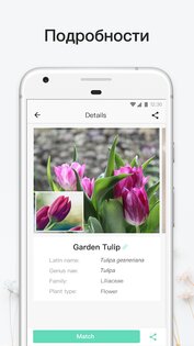 PictureThis - Определитель Растений 4.4.1. Скриншот 3