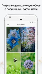 PictureThis – определитель растений 5.6.0. Скриншот 5