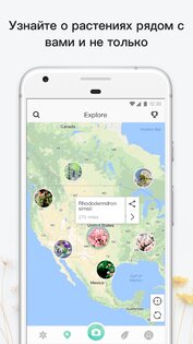 PictureThis - Определитель Растений 4.4.1. Скриншот 7