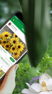 PlantSnap – определитель растений и цветов 7.0.0. Скриншот 2