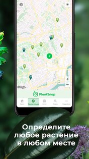 PlantSnap – определитель растений и цветов 6.5.3. Скриншот 5