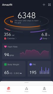 Zepp (Amazfit) 9.5.1. Скриншот 1