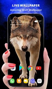 Lone Wolf Wallpaper and Keyboard 5.15.1. Скриншот 1