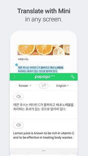 Naver Papago – переводчик 1.9.22. Скриншот 8
