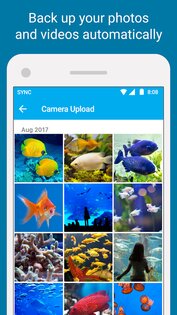 Sync – безопасное облачное хранилище 3.8.34.5. Скриншот 3