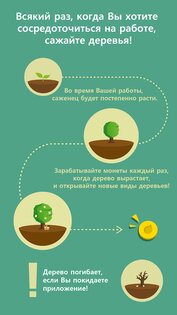 Forest – будь сосредоточенным 4.90.0. Скриншот 3