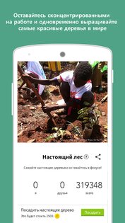 Forest – будь сосредоточенным 4.90.0. Скриншот 6