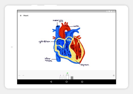 Notebook – делайте заметки 6.4. Скриншот 10