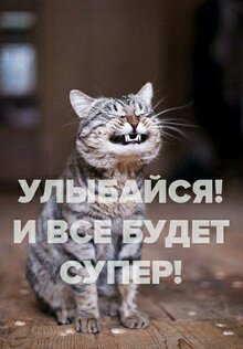 Открытки на все случаи жизни 2.7.23. Скриншот 15