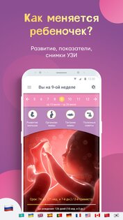 Календарь беременности 3.60.0.6. Скриншот 1