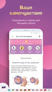 Календарь беременности 3.60.0.6. Скриншот 2