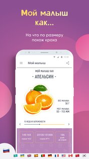 Календарь беременности 3.60.0.6. Скриншот 3
