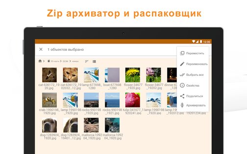 ASTRO File Manager 8.13.5. Скриншот 6