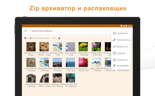 ASTRO File Manager 8.15.3. Скриншот 6