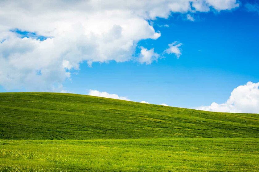 Хакеры в восторге: исходный код Windows XP слили в интернет