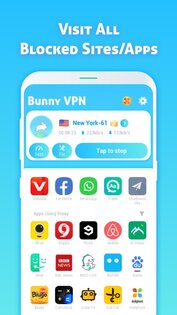 Bunny VPN 1.4.6.076. Скриншот 2
