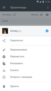 FEX.NET 3.0.8. Скриншот 4