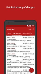 MegaSync – автосинхронизация Mega 6.0.10. Скриншот 7