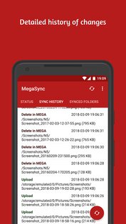 MegaSync – автосинхронизация Mega 6.5.1. Скриншот 7